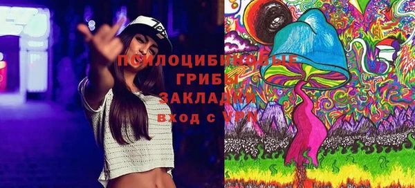 таблы Богородск