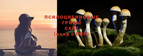 мдпв Богородицк