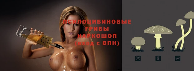 мдма Богданович