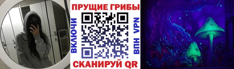 Галлюциногенные грибы прущие грибы  Купить  Сим 